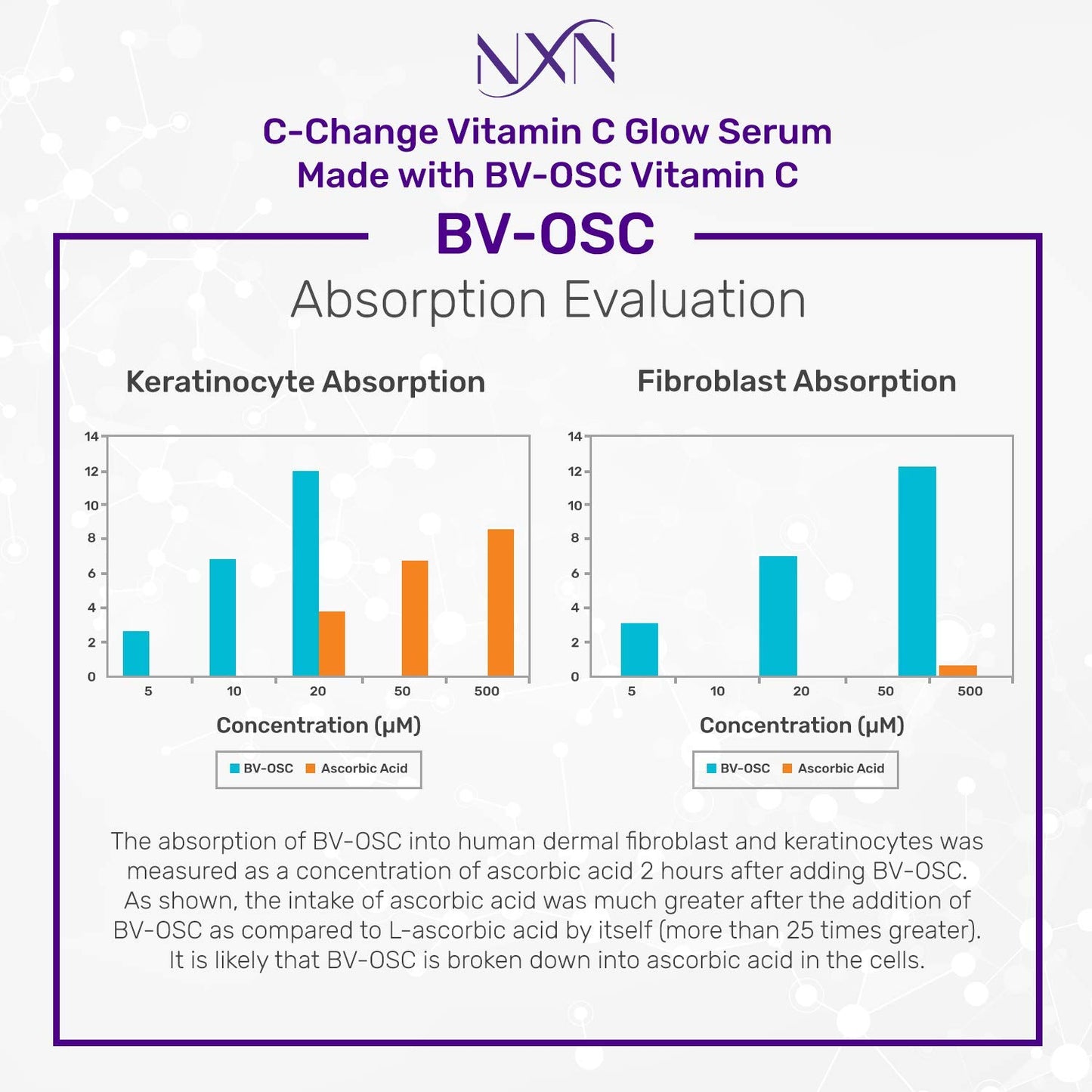 NxN Vitamin C & Hyaluronic Acid Serum Set