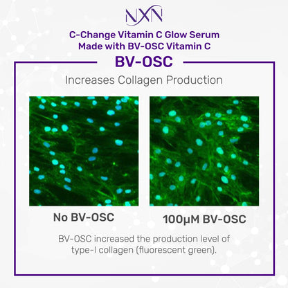 NxN Vitamin C & Hyaluronic Acid Serum Set